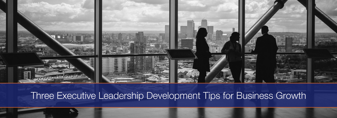 Executive Leadership Development