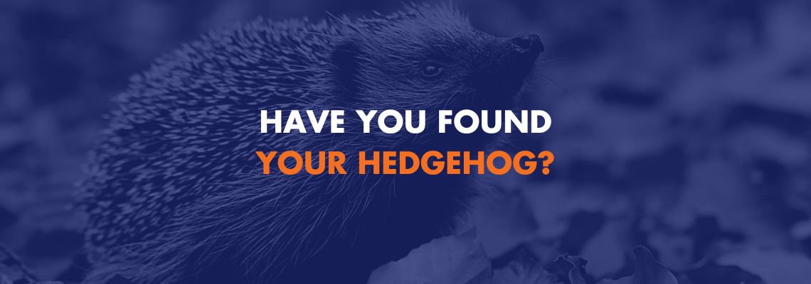 The Hedgehog Concept - Have You Found Your Hedgehog